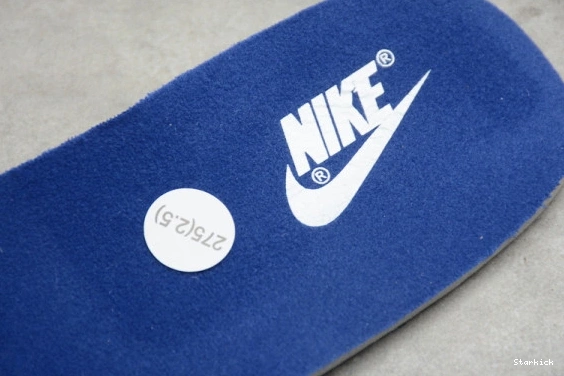 CZ2667-400 Low (2020) Samba Nike Dunk 0125